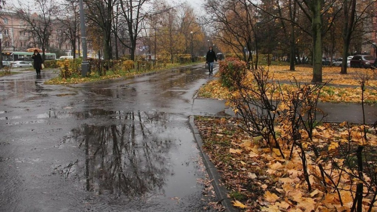 Моросил на улице. Поздняя осень в городе. Ноябрь в городе. Поздняя дождливая осень. Поздняя осень дождь.