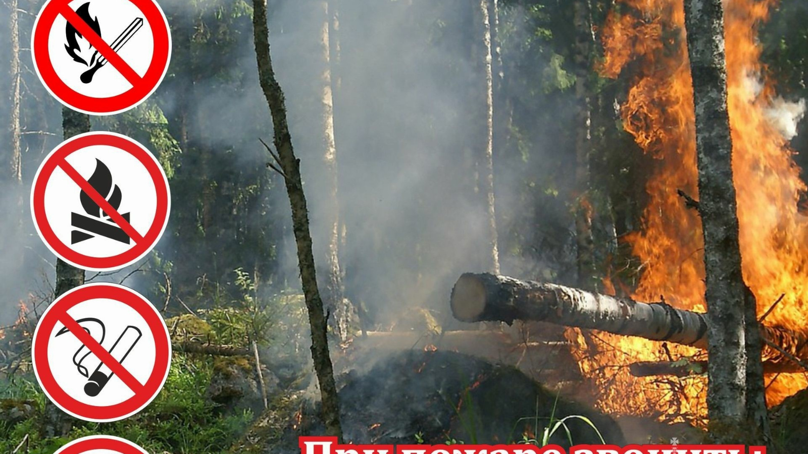 Этом сохраняется на высоком. Пожарная безопасность в лесу. Противопожарные аншлаги в лесу. Опасность лесных пожаров. Нарушение правил пожарной безопасности в лесах.